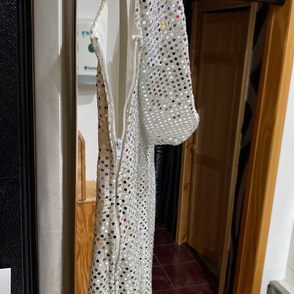 Silver gown - Picture 5 of 8